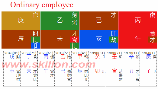  Same BaZi Dcotor 八字 BaZi Four Pillars of Destiny Patt Chee